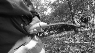 Woodland public piss result in hard cock nearly caught so I just had to wank till cum squirts