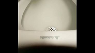 I spy on myself while I pee in a public urinal