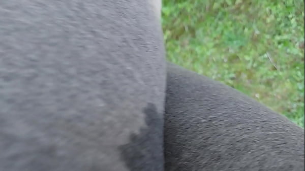 Your really horny stepsister doesn’t hold back and pee around people in a park